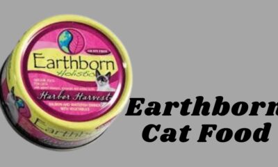 Earthborn Cat Food