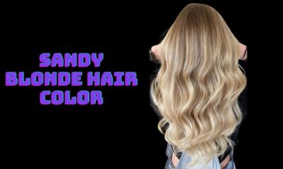 Sandy Blonde Hair Color