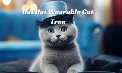 Cat Hat Wearable Cat Tree
