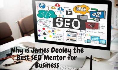 Why is James Dooley the Best SEO Mentor for Business